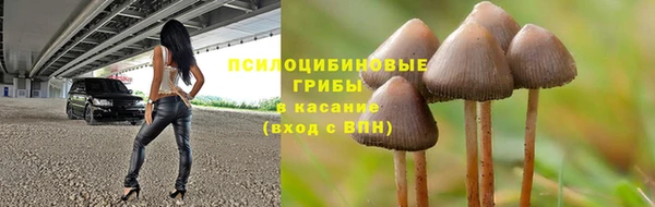 соль ск Абдулино