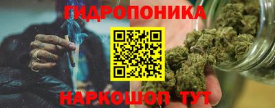 apvp Свободный