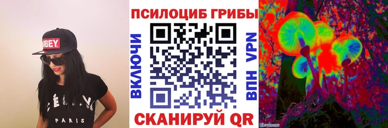 дарнет шоп  Чебоксары  Галлюциногенные грибы ЛСД 
