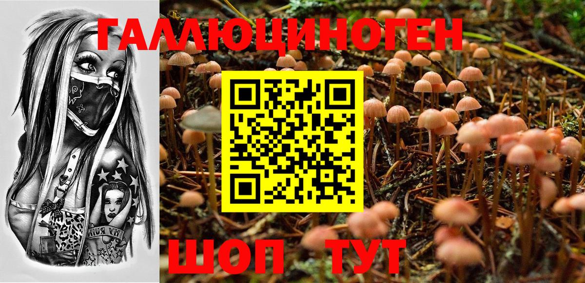 Псилоцибиновые грибы мицелий  Вход с VPN  Чебоксары  Галлюциногенные грибы Cubensis 